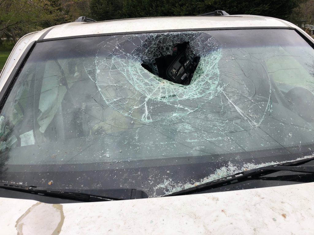 “After Shebeshxt’s VW Golf R windscreen was smashed by fans during a gig, here are 5 shocking reactions that reveal how South Africans truly feel about the controversial rapper.”