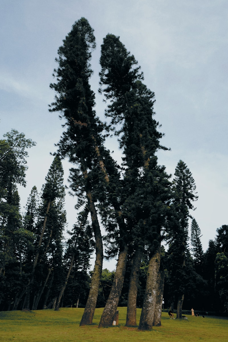 Maytham’s 1 Harsh Reprimand : ‘Everyone I Know Thinks You’re Useless!’