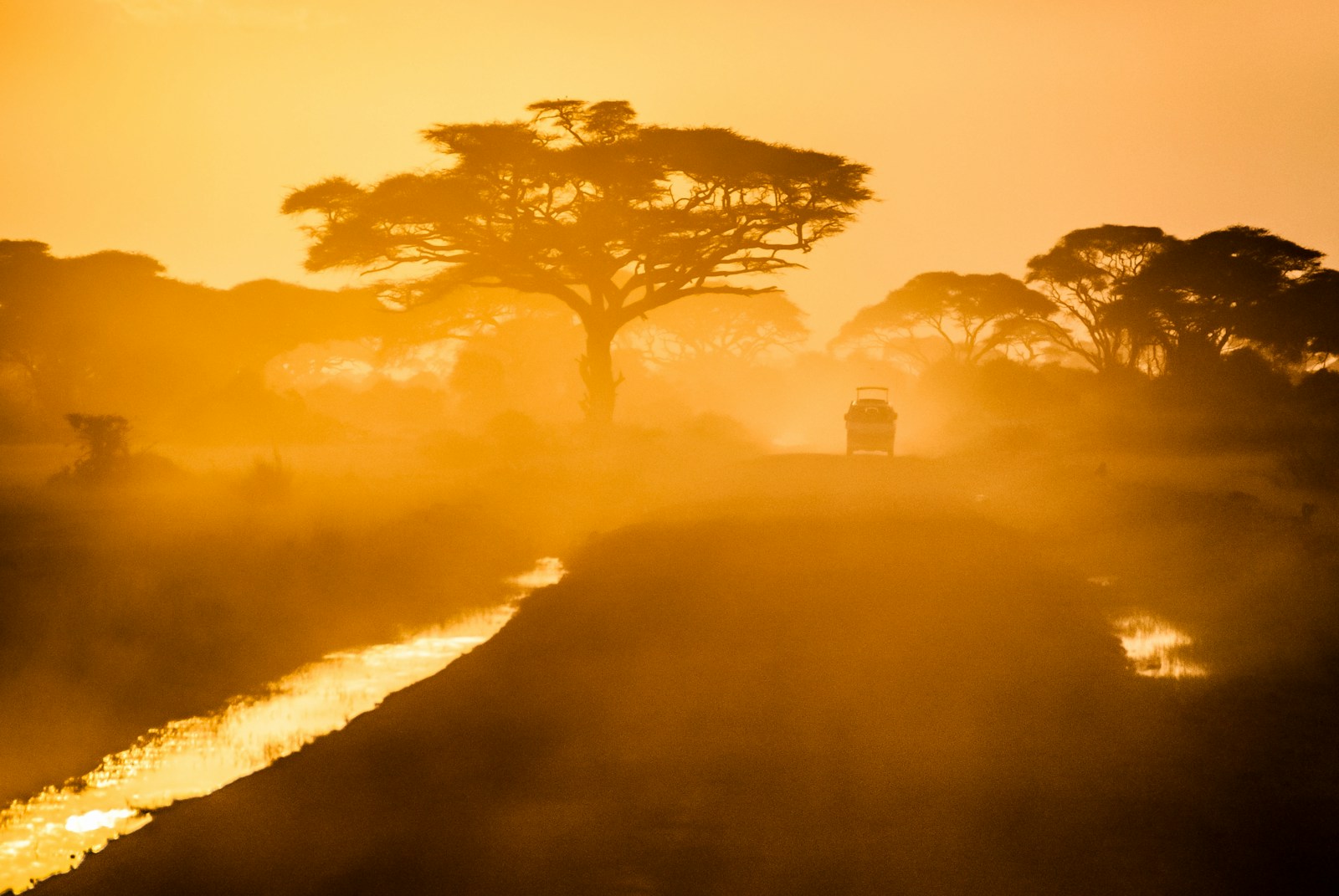 Discover Africa: 5 Unforgettable Reasons to Visit the Continent