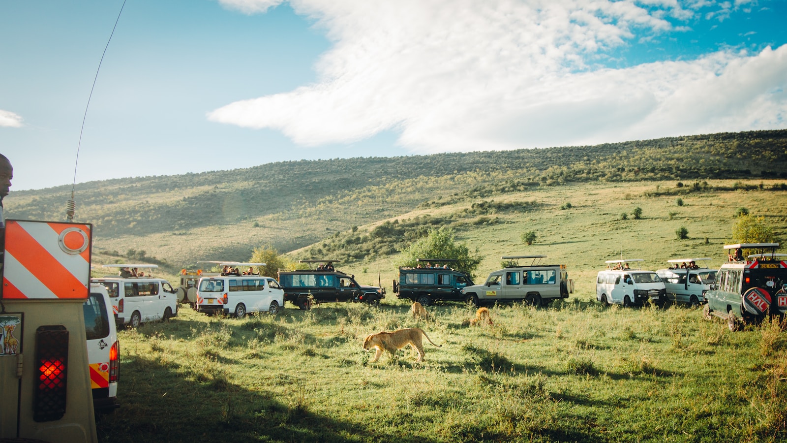 safari tourism adventure with wildlife