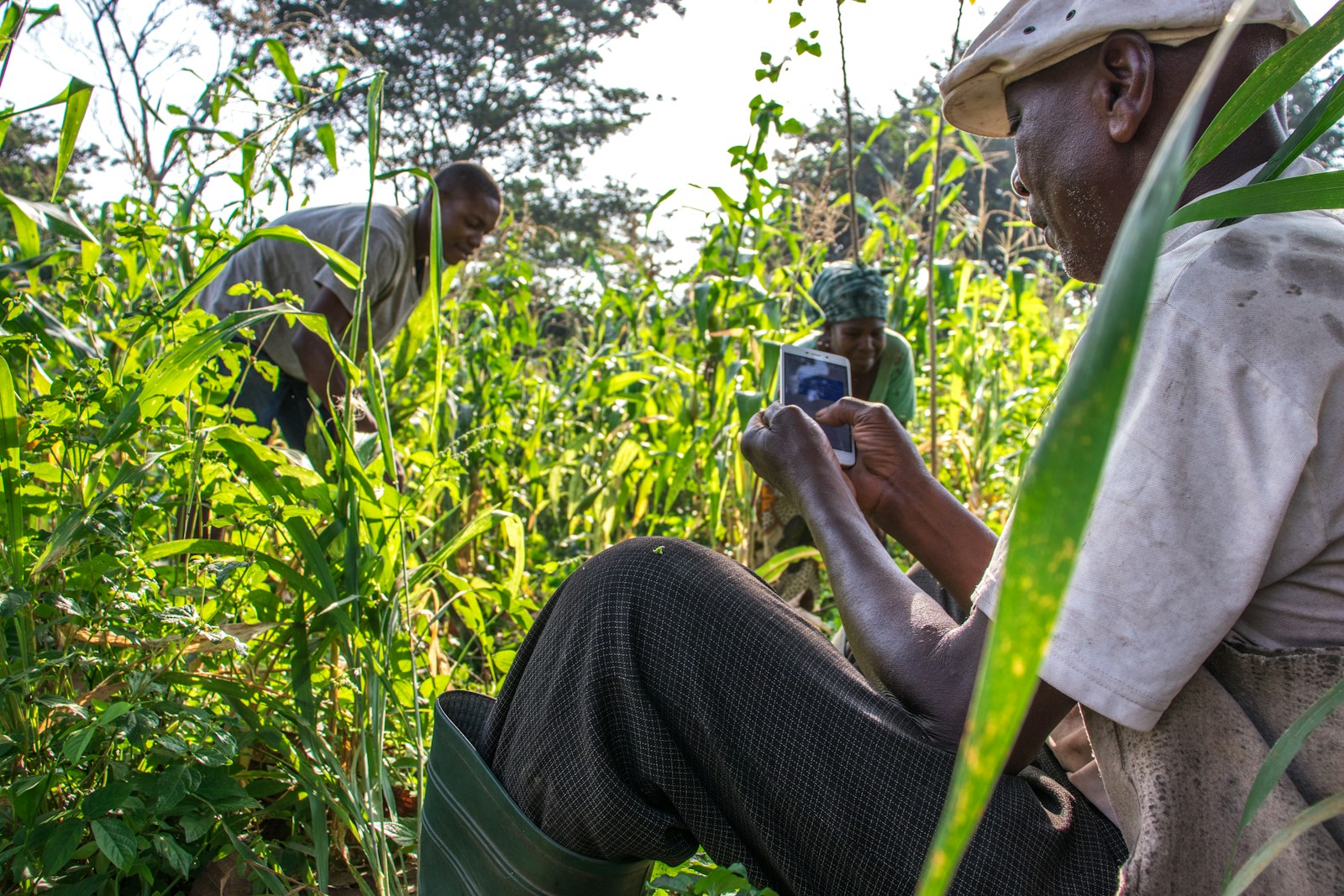 Airtel Money empowering Tanzanian farmers with digital payments