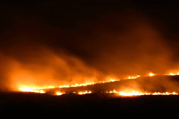 Cape Town Wildfire